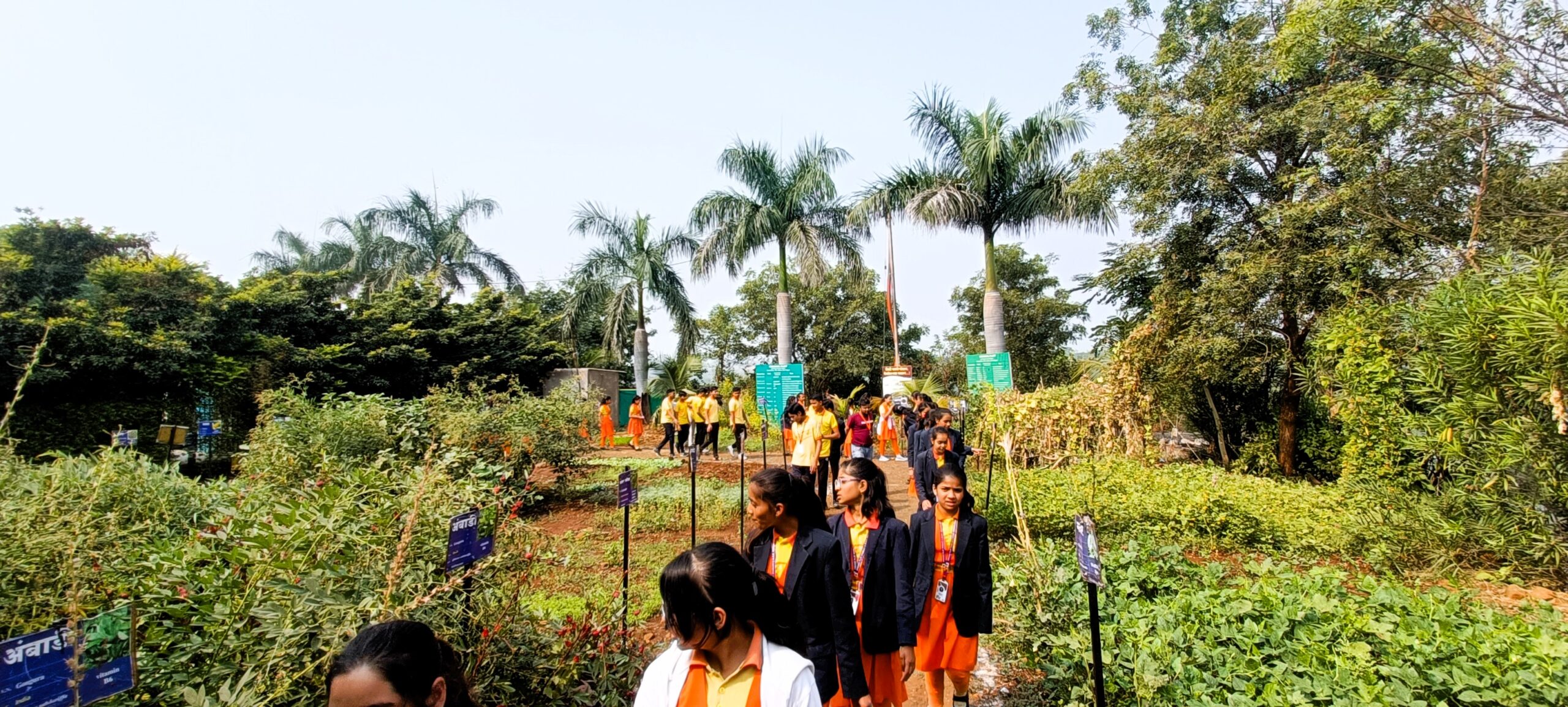 Workshops & Education