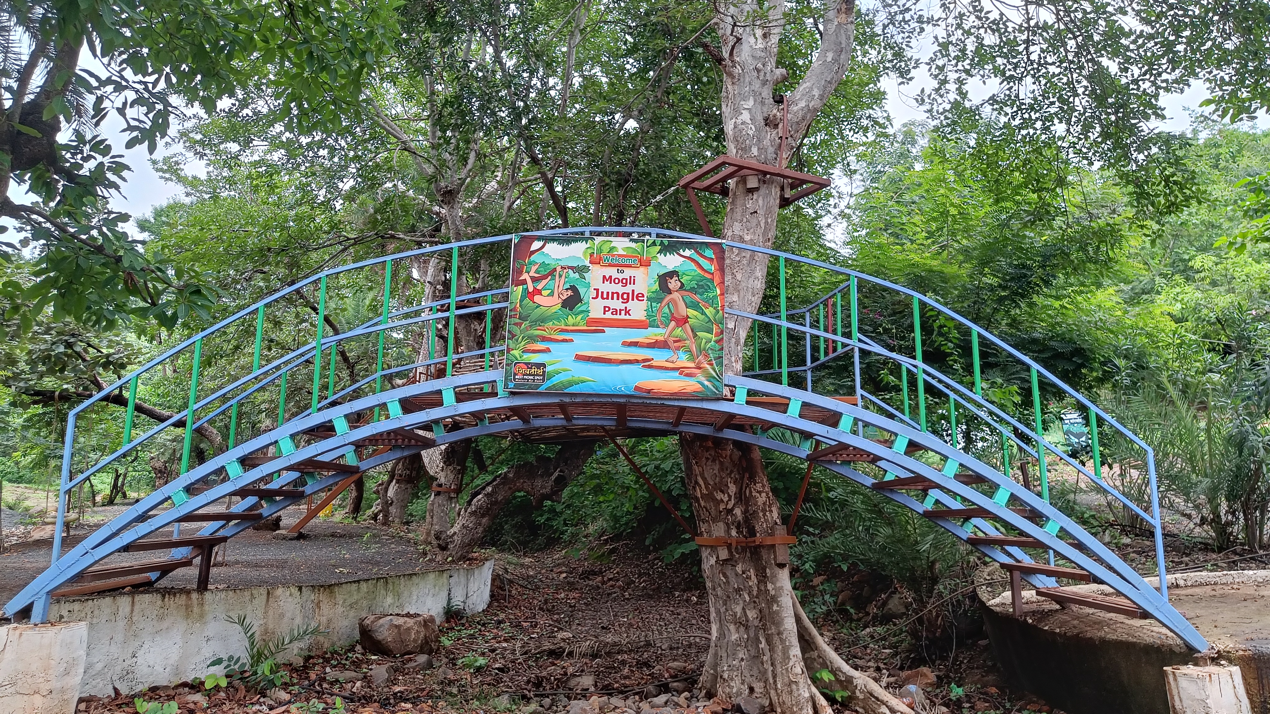 Tree Adventure Trails